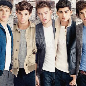 Category Band Members One Direction Wiki Fandom Louis tomlinson is the oldest member of one direction. category band members one direction