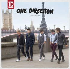 ONEDIRECTIONONETHING