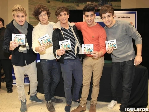 niall hairs looks like flame wow!