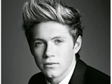 Niall Horan/Fun Facts