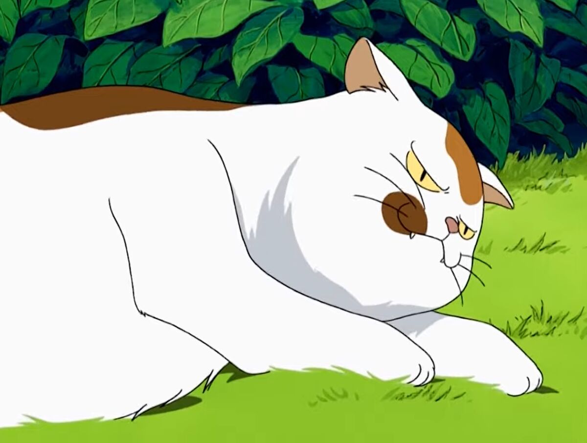 InuYasha Cat Wiki (@CatInuyasha) / X