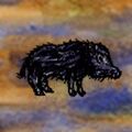 Wild Boar.jpg