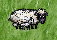 Domestic Sheep with Lamb.jpg