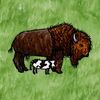 Domestic Bison with Calf.jpg