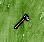 Stone Hatchet.jpg