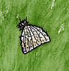 Wool Hat.jpg
