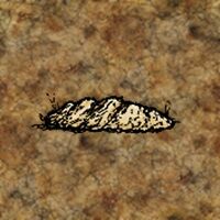 Sand Deposit.jpg