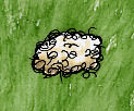 Fleece.jpg