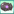 RobofishPet4.png