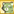 RaccoonPet2.png
