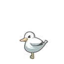 Seagull 00 00.png
