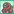 DwarfPet4.png