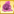 GlobletPet3.png