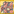 M10Pet5.png