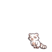 Raccoon 02 00