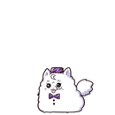Pomeranius 10 00