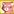 RaccoonPet5.png