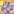 M10Pet3.png