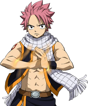 One Piece Fairy Tail Portgas D Ace Dragneel Natsu Anime Series