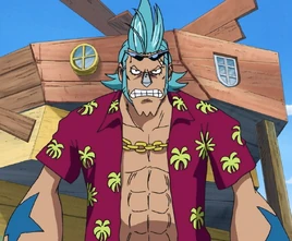Anime pre-timeskip