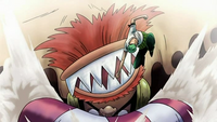 Groggy Ring Zoro puntuant