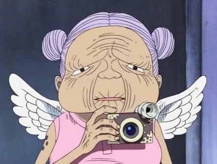 Theia One Piece in Amazonia