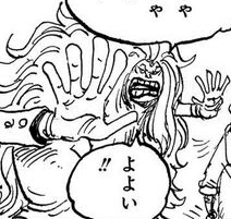 Manga post-timeskip
