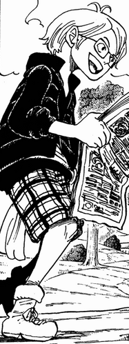 Manga post-timeskip