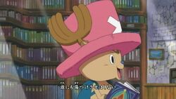 Fight Together One Piece Catala Wiki Fandom Fight Together One Piece Catala Wiki Fandom