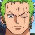 Zoro portrait post