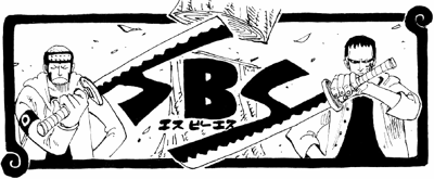 SBS 13