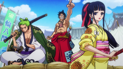 Ruffy, Zoro i Kiku preparats per lluitar