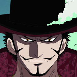 The Will of Marco (マルコの意志) on X: Dracule Hawk-Eyes Mihawk