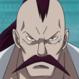 Vice Admiral, One Piece Wiki