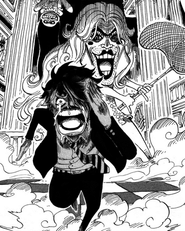 Aventuras De Cada Sombrero De Paja One Piece Wiki Fandom