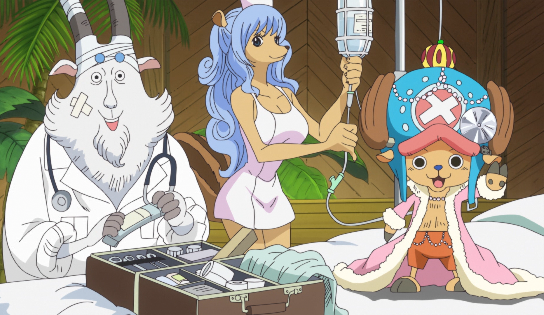 Who Is Chopper from 'One Piece' - Who is the Doctor Coming to Season 2?