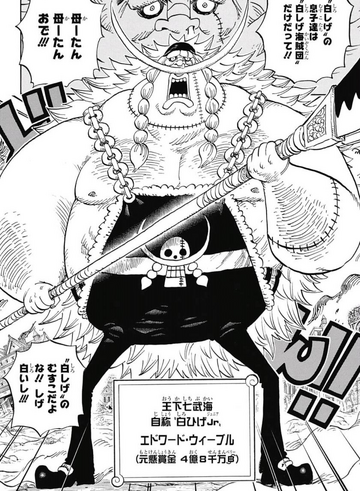 Edward Newgate, One Piece Wiki