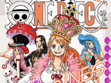 One Piece Novel HEROINES