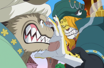 Pedro One Piece Wiki Fandom