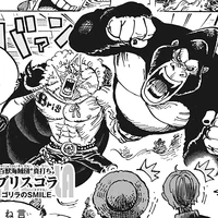 Briscola One Piece Wiki Fandom