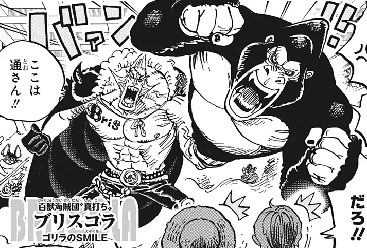 Briscola One Piece Encyclopedie Fandom
