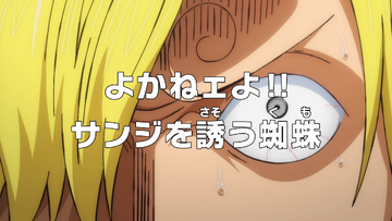 One Piece: Episode 307  animemiz's scribblings..