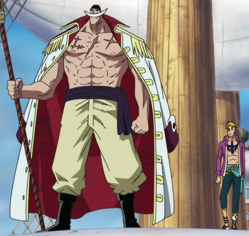 Whitebeard Full Body View