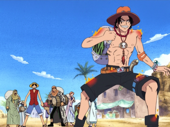 Arabasta Arc One Piece Wiki Fandom