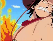 Bara Bara No Mi Devil Fruit Figure - One Piece™ – Anime Figure Store®