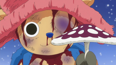 Chopper consigue el amiudake