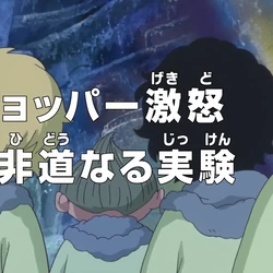 Category Season 16 One Piece Wiki Fandom