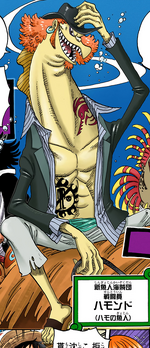 Hammond One Piece Wiki Fandom Hammond One Piece Wiki Fandom