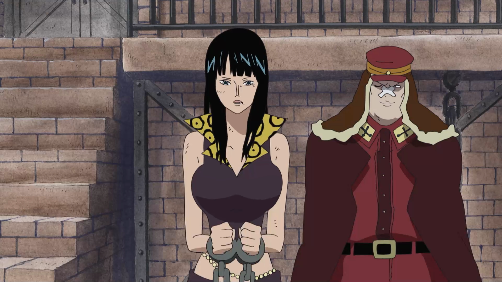 Nico Robin/History/During and After the Timeskip, One Piece Wiki