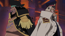 Shiryu One Piece Wiki Fandom